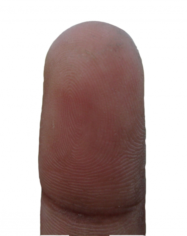 Creation of Finger Bowling: Step 1